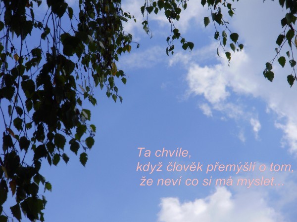 ---
