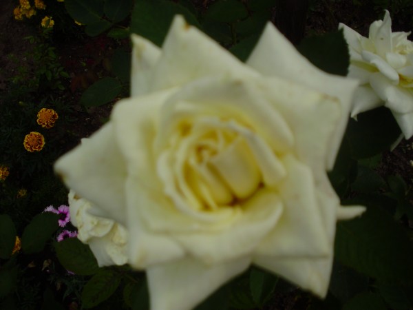 P8211143